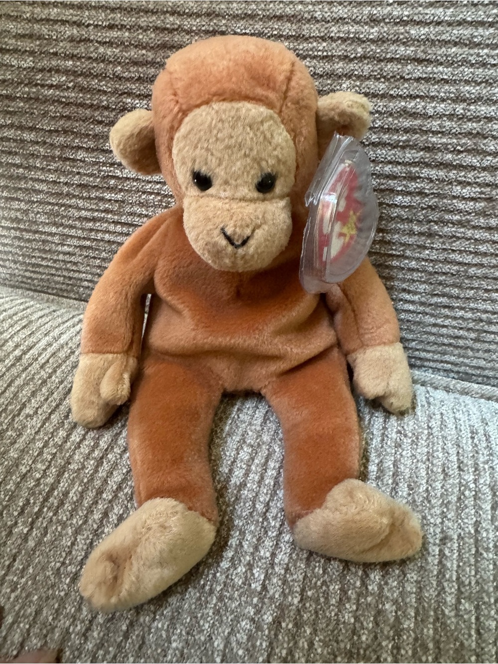 TY beanie baby Bongo